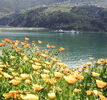 turkey, nature HD wallpaper