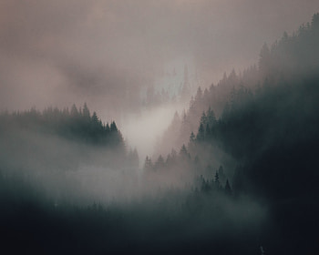 Nature, Trees, Forest, Fog, Hills HD wallpaper