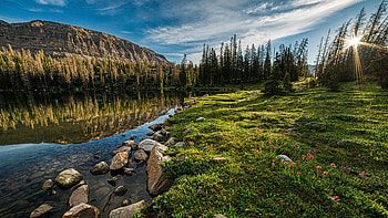 Ryder lake with the morning sun lighting up the dew covered hillside, landscape, trees, clouds, sky, canada, stones, British columbia HD wallpaper