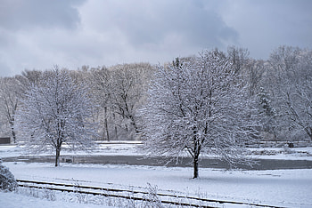 Winter Beauty, winter, winter , scenic winter, winter landscape HD wallpaper