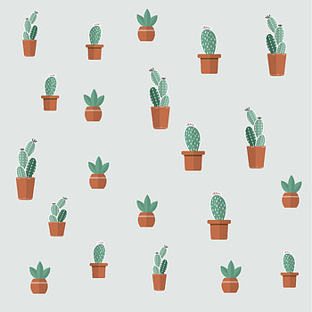 Cactuses, Art, Patterns, Texture, Textures, Succulents HD phone wallpaper