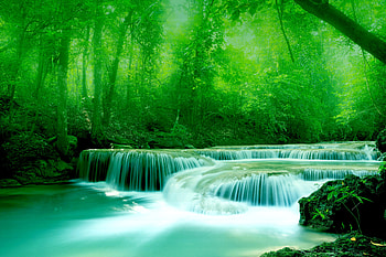 RIVER FALLS, falls, river, nature, forest HD wallpaper