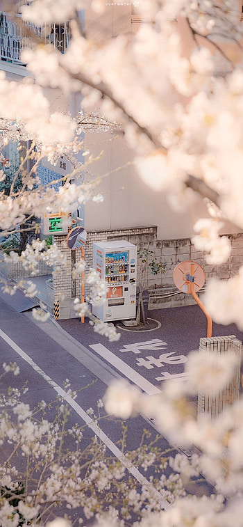 Sakura Airi, vending machine, Japan, vertical, portrait display. . Scenery , Anime scenery, Scenery, Aesthetic Vertical HD phone wallpaper
