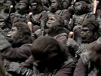 Beneath the planet of the apes, animal, tv, man, movie, other HD wallpaper