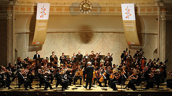 Orchestra , Symphony ensemble, Musical spectacle, Harmonious collaboration HD wallpaper