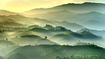 Misty Green Hills At Dawn Morning Mist Over The Emerald Hills, mist, green, hill, dawn, morning, field, nature HD wallpaper