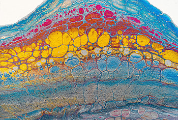 Art, Abstract, Divorces, Multicolored, Motley, Paint, Liquid, Stains, Spots HD wallpaper