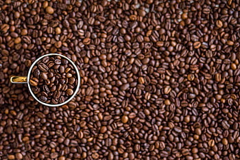 A top-down view of a coffee cup filled with coffee beans on a rustic coffee bean background. HD wallpaper