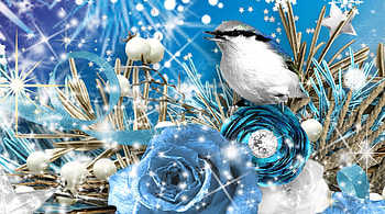 Blue Winter Bird, blue, winter, ribbon, star, rose, snow, sparkle, shine, wheat, pearls, flowers HD wallpaper