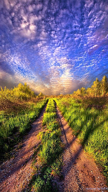 Beautiful Nature, graphy HD phone wallpaper