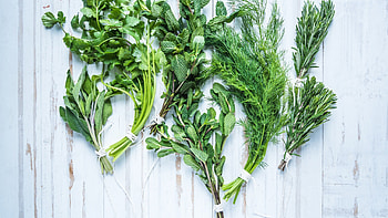 Dill herb, Culinary uses, Green foliage, Ryan Anderson HD wallpaper
