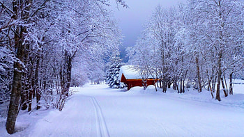 Winter landscape, winter, frost, house, cold, snow, branches, trees, road, cottage HD wallpaper