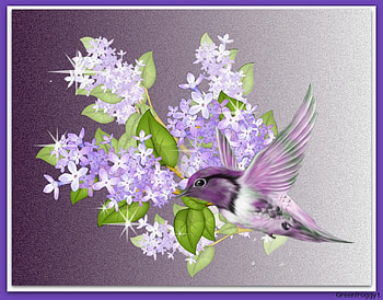 HUMMINGBIRD AND LILACS, ART, HUMMINGBIRD, LILACS, ABSTRACT HD wallpaper