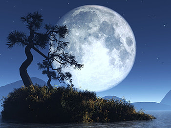 Landscape, Trees, Night, Moon HD wallpaper
