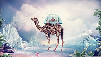 Animals, Art , Camels HD wallpaper