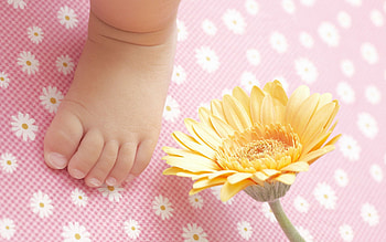 Flowers, Miscellanea, Miscellaneous, Child, Leg, Diaper, Pampers HD wallpaper