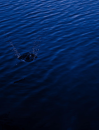 Nature, Water, Dark, Spray, Splash HD phone wallpaper