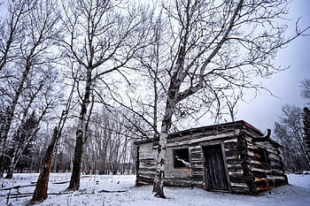 Cottage In Winter, winter, cottage, beautiful, tree HD wallpaper