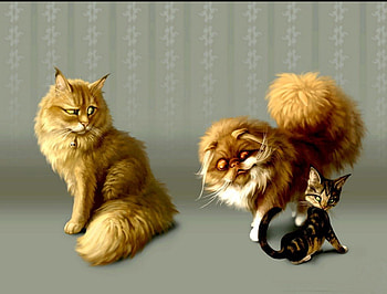COOL KITTIES, 2d, animals, pets, cats, illustration HD wallpaper