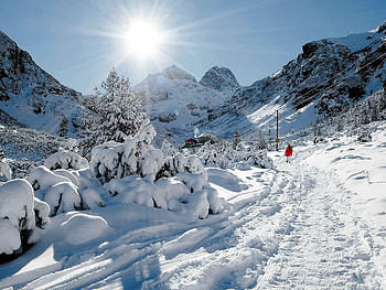 Winter in the mountain, winter, slope, sunny day, sun stream, mountain, winter day, snow, bulgaria, sun HD wallpaper