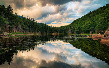 Lost Pond along the Appalachian Trail, New Hampshire, usa, White mountains, reflection, clouds, trees, sky, water, forest HD wallpaper
