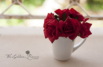 Romantic Morning, vase, nature, flowers, red HD wallpaper