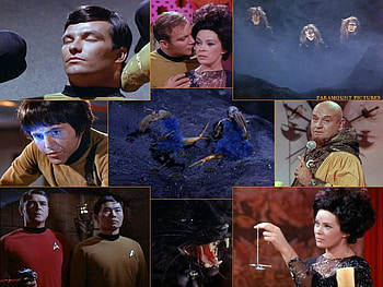 Catspaw, black cats, halloween, star trek, sylvia, witches, korob HD wallpaper