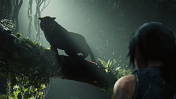 Shadow of the Tomb Raider HD wallpaper