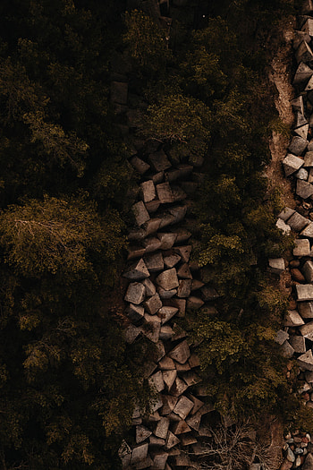 Nature, Trees, Stones, View From Above, Forest HD phone wallpaper