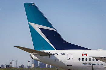 WestJet, Pet travel fees, Price increase, Airline policy HD wallpaper