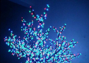 Alight with colour, night, celebration lights, tree HD wallpaper