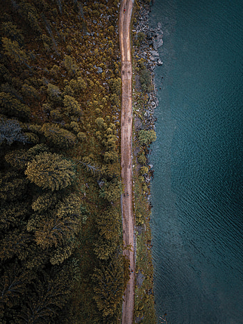 Nature, Trees, Sea, View From Above, Road, Forest HD phone wallpaper