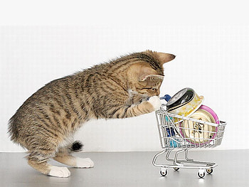 Kitty_Mart, funny, kitty, mart HD wallpaper