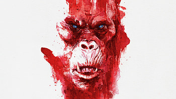 movie, Godzilla x Kong: The New Empire HD wallpaper