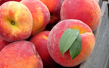 Peach, Food, Leaves, Fruit HD wallpaper