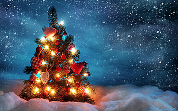 Holidays, New Year, Fir-Trees HD wallpaper