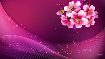 pink background pc Colour Pink Pinterest HD wallpaper