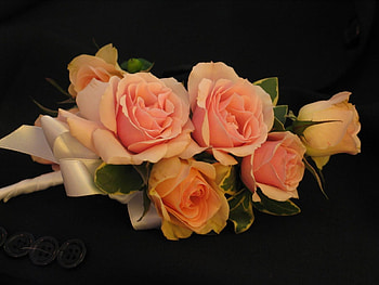 Peach Roses, bouquet, peach, roses, gorgeous, bunch, petals, layers, nature, flowers HD wallpaper