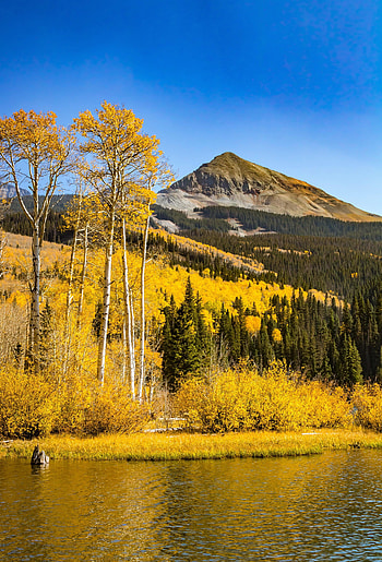 Nature, Trees, Autumn, Mountain, Lake, Reflection HD phone wallpaper